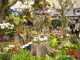 img0024.jpg
