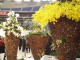 img0026.jpg