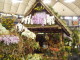 img0030.jpg