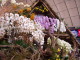 img0031.jpg