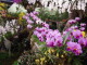 img0032.jpg