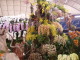 img0035.jpg