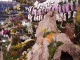 img0036.jpg