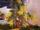 img0037.jpg
