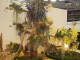img0038.jpg