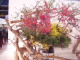 img0044.jpg
