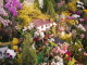 img0045.jpg