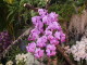 img0046.jpg
