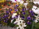 img0048.jpg
