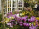 img0049.jpg