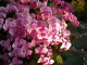 img0053.jpg