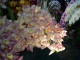 img0054.jpg