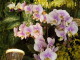 img0056.jpg