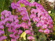 img0057.jpg