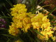 img0058.jpg