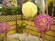 img0060.jpg
