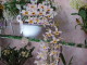 img0068.jpg