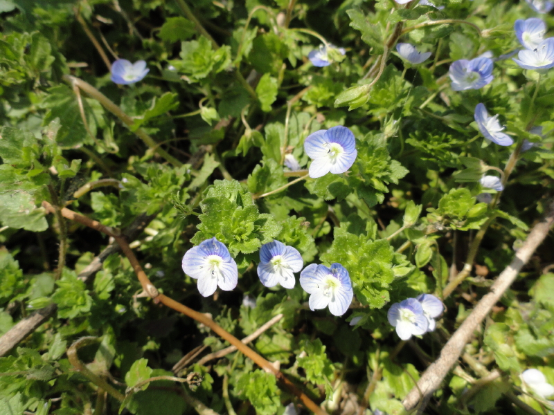 img0008.jpg