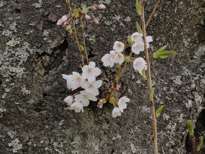 img0019.jpg