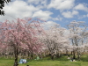 img0004.jpg
