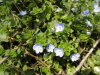 img0008.jpg