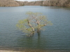 img0010.jpg