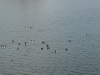 img0012.jpg