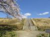 img0021.jpg