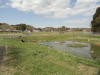 img0028.jpg
