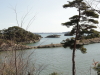 img0004.jpg
