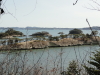 img0010.jpg