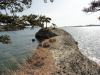 img0011.jpg