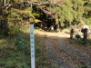 img0001.jpg