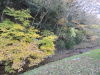 img0013.jpg