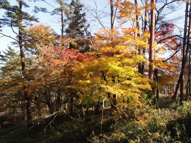 img0023.jpg