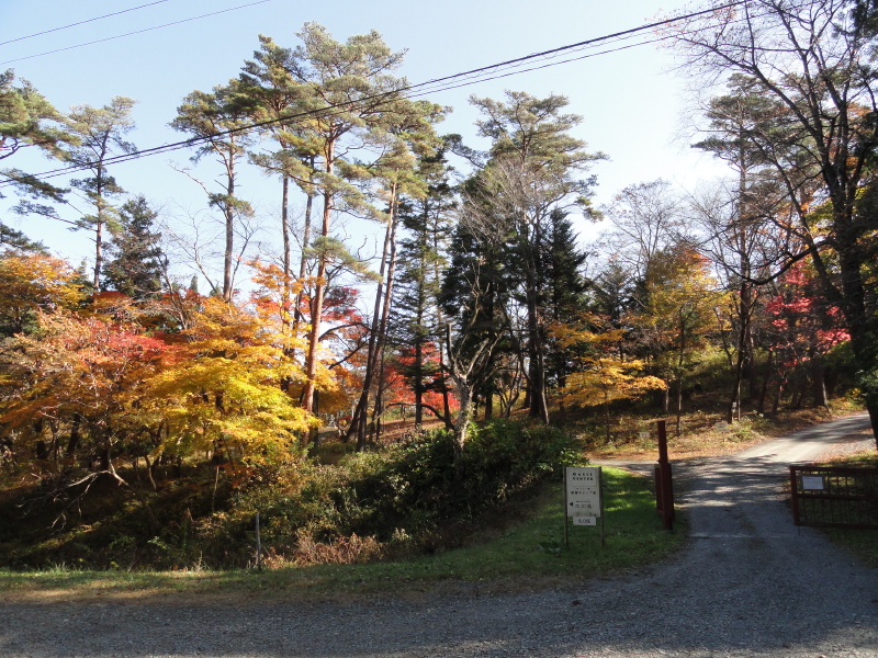 img0040.jpg