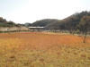 img0005.jpg
