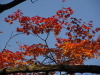 img0034.jpg