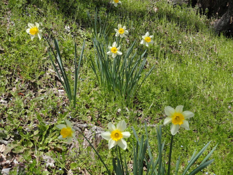 img0007.jpg