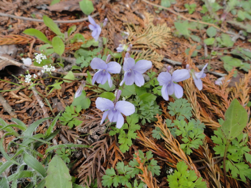 img0017.jpg