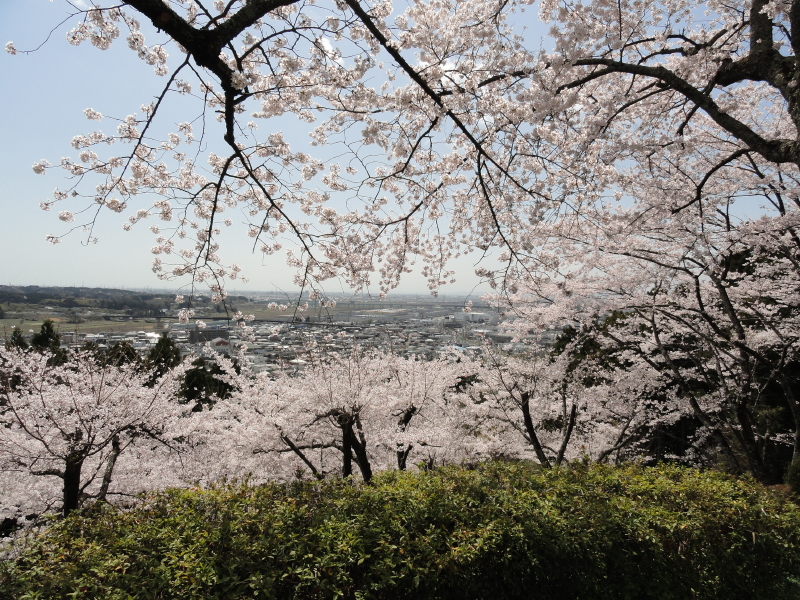 img0031.jpg
