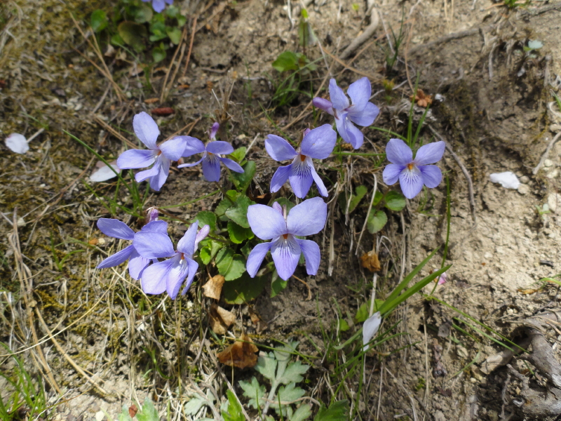 img0040.jpg