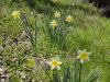 img0007.jpg