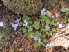 img0015.jpg