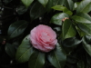img0024.jpg