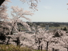 img0032.jpg