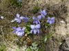 img0040.jpg