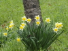 img0043.jpg