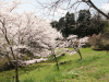 img0045.jpg