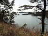 img0004.jpg